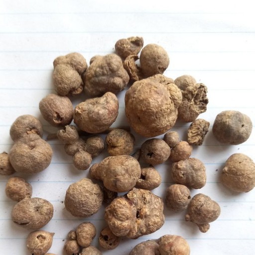 دهان بسته (۵۰گرم)